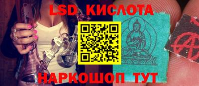 apvp Обь