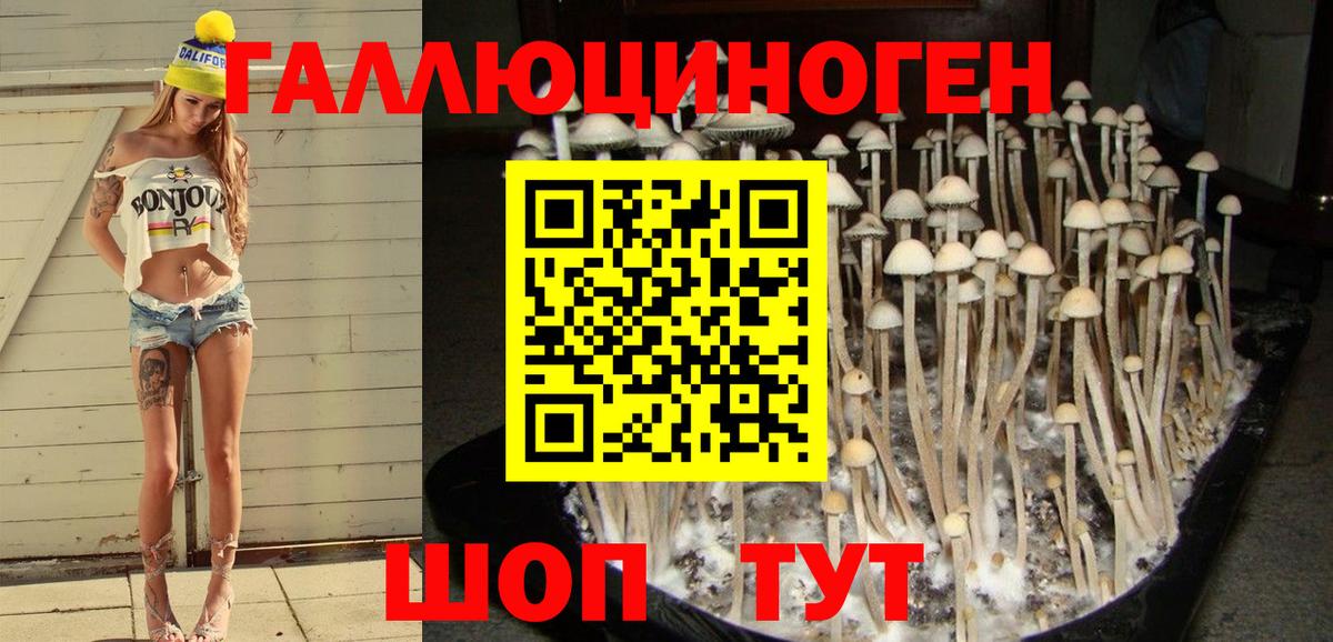 Галлюциногенные грибы MAGIC MUSHROOMS Сергиев Посад